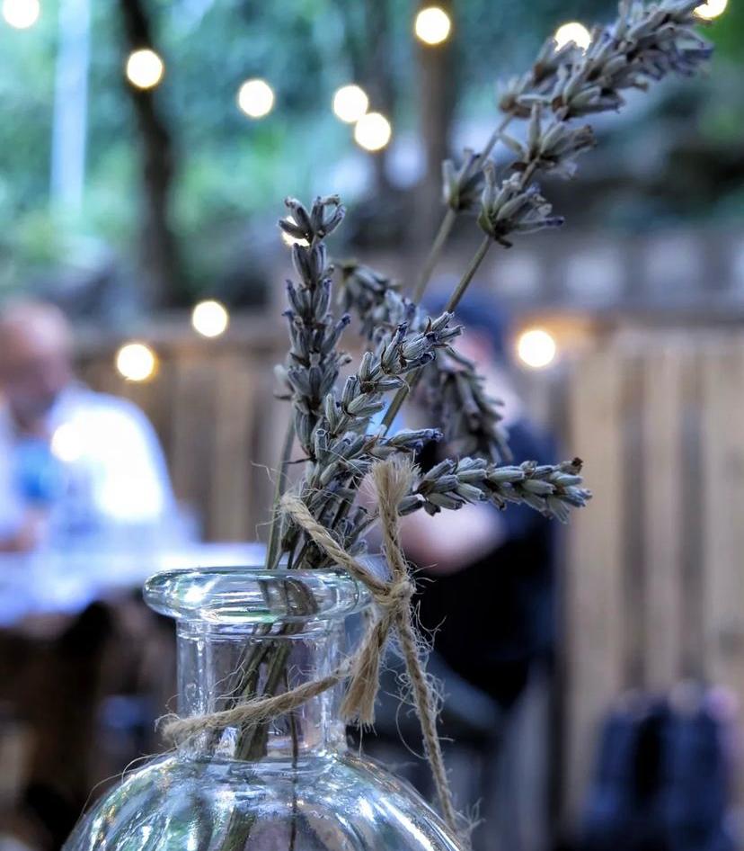 casino borogonya (10)