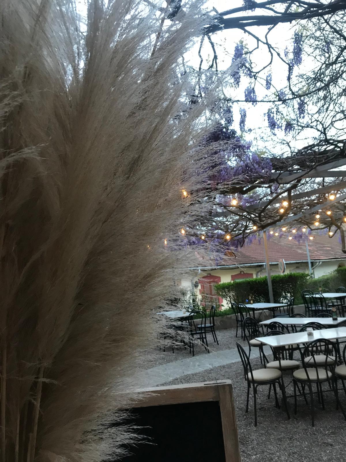 casino borogonya (4)