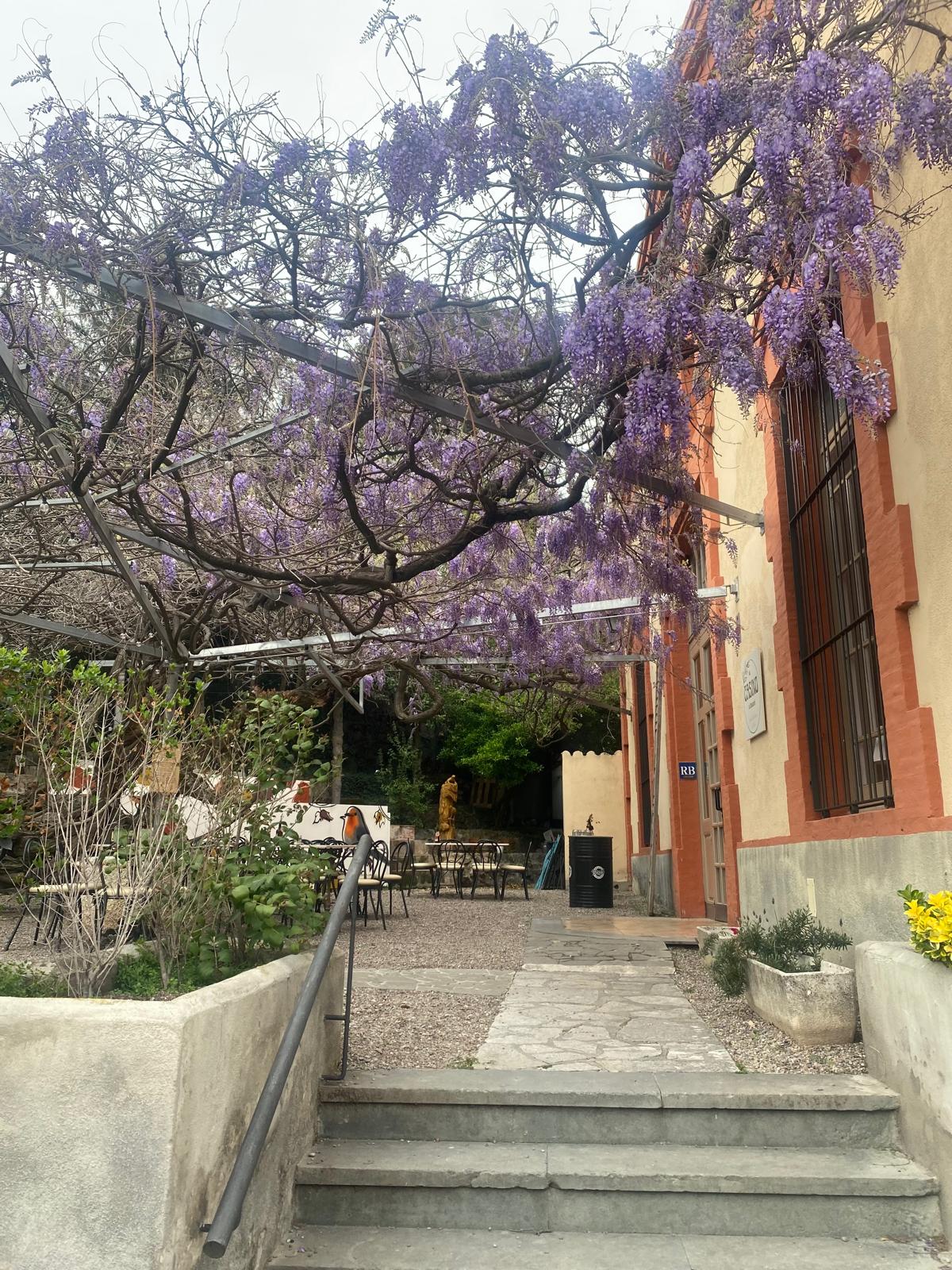 casino borogonya (5)