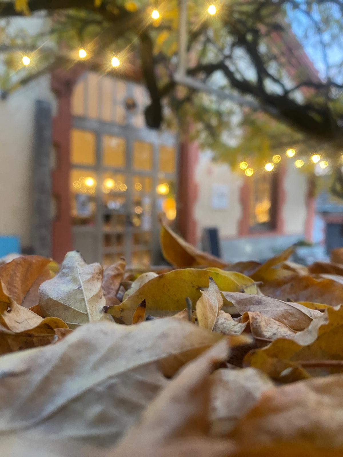 casino borogonya (8)